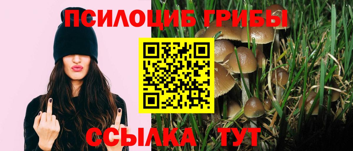 Галлюциногенные грибы мицелий Волгоград